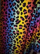 Dresówka pętelka na dres dla dzieci dziecięcy panterka kolorowa tęcza 0,5m