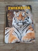 Zwierzęta  Fenix