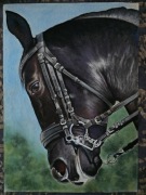 Portret konia. Pastele 50x70 cm