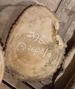 Plaster Drewna DĄB 76/58/8 cm Blat Stolik Żywica DIY Wysuszony