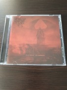 Revelation of Rain (Otkroveniya Dozhdya)