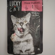 Saszetka dla kota 100 g. Z łososiem 