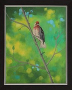 Nowy ! obraz olejny  ptaki dziwonia  pejzaż