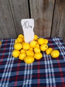 Pigwa pigwa 10 kg owoc owoce nie pigwowiec 