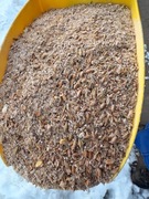 NATURALNA KARMA ŚRUTA PASZA DLA KUR NIOSEK Z ZIARNEM DO KARMNIKÓW- 20 KG