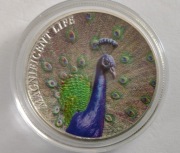 WYSPY COOKA COOK ISLAND 2022  Wspaniały Paw 