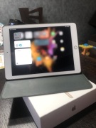 iPad A1822 32GB Gold
