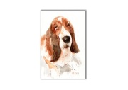 Basset hound akwarela ręcznie malowana