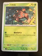 Paras (Battle Partners)