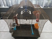 Klatka dla ptaków z akcesoriami w gratisie, idealny prezent na święta