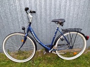 Rower damski Pegasus 