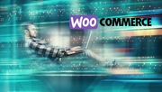 Twój programista Wordpress Woocomerce