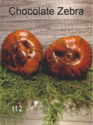 112-Chocolate Zebra. Pomidory kolekcjonerskie.