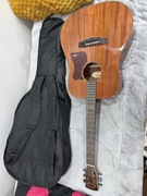 Gitara akustyczna ArsNova AN-450G