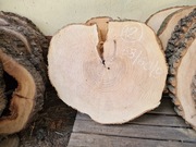 12 JESION 68/60/9 cm Blat Plaster Drewna Stolik Żywica Epoxy DIY Live Edge