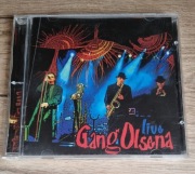 Gang Olsena - Live