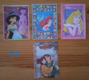 KARTECZKI KOLEKCJONERSKIE DO SEGREGATORA - KSIĘŻNICZKI DISNEY'A (6)