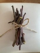 Gałązki z Jabłoni dla gryzoni 