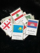 Karty edukacyjne – flagi Azji + stolice | 48 kart A8
