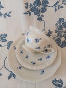 TRIO filiżanka Rosenthal Maria niebieskie różyczki
