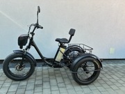 Pojazd trójkołowy elektryczny DAIBOT 48V 500W 20" 12Ah 20KM/H