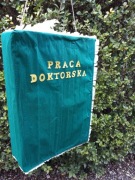 Piniata Praca inżynierska/magisterska/dyplomowa