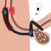 Masażer prostaty Sex Maszyna Korek Anal pas cnoty