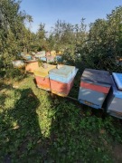 pszczoły odkłady ule dadant langstrot wielko 5 ram