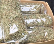 Siano dla królikow  Chomików  i innych  zwierzątek 1kg