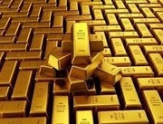 Margonem złoto Tempest 100m 