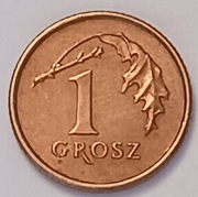 1 gr grosz 1993 r. 