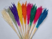 Suszone trawy trawa susz do bukietów kolorowa