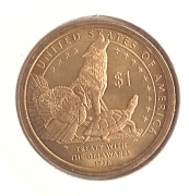 1 dolar USA - "Indianka" 2013