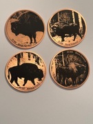 Żubr. Fi 50 mm. Zestaw 4 sztuk. Miedź. Gyges