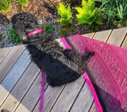 Piękna różowa chusta szydełkowa