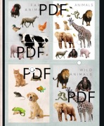 Zwierzęta Montessori pdf PLAKAT A4 OWOCE