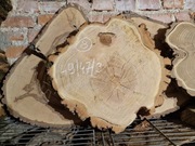 AKACJA ROBINIA 49/47/9 cm Po Suszarni Blat Plaster Drewna Stolik DIY Suchy