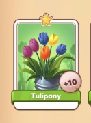 Tulipany karta Coin Master