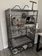 Klatka Dla Dużej Papugi