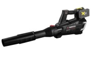 Parkside akumulatorowa dmuchawa do liści 40V (2x20V) Pptlba 40 Li C3