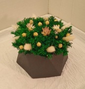 Dekoracja kwiatowa - mech w doniczce