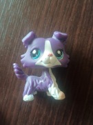 Littlest pet shop LPS unikat oryginał fioletowy piesek collie pies POP 
