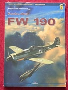 Focke-Wulf FW 190 Krzysztof Janowicz