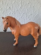 Koń Suffolk Punch klacz 