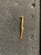 Taśma Buzzera | Realme 7i RMX2193