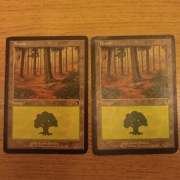 Forest (347) Odyssey MTG land