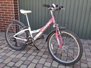 Trek 24 cale młodzieżowy