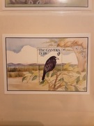 Gambia 1991 Mi blok 111 ptak  czysty idealny