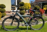 ROWER NOXON Sweeper FG Banana szary
