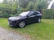 Ford Escape Kuga